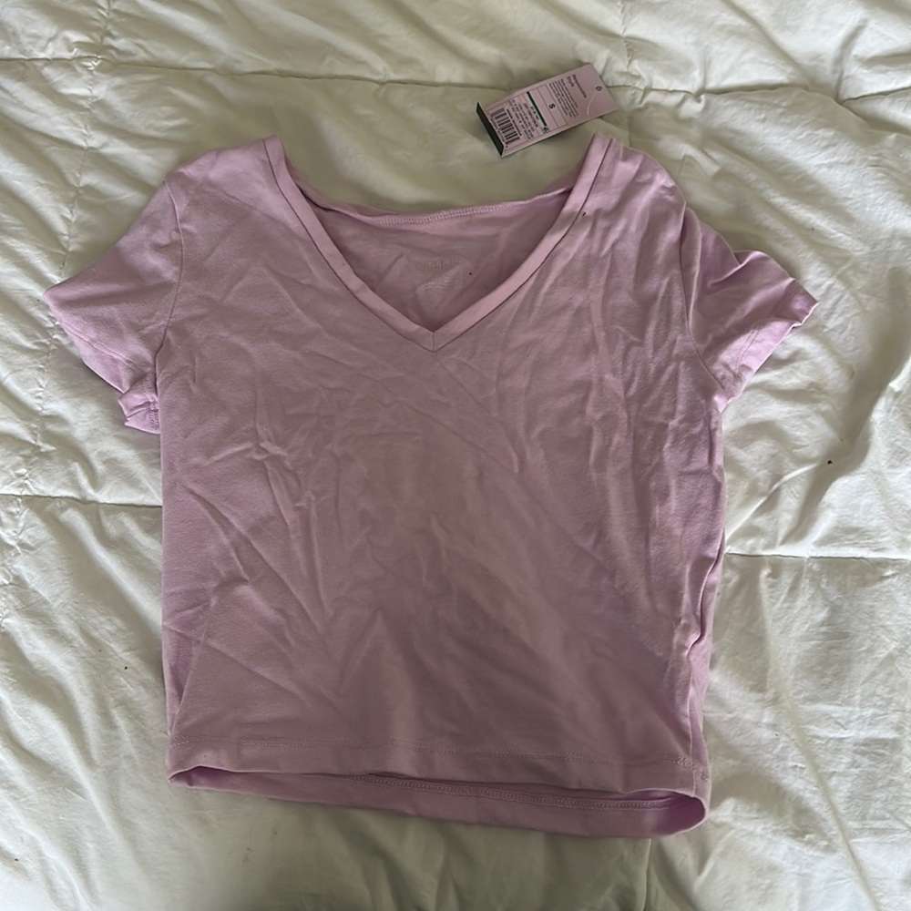 Wild Fable Crop Tee